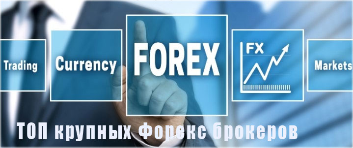 крупные Форекс брокеры мировые брокеры и по России