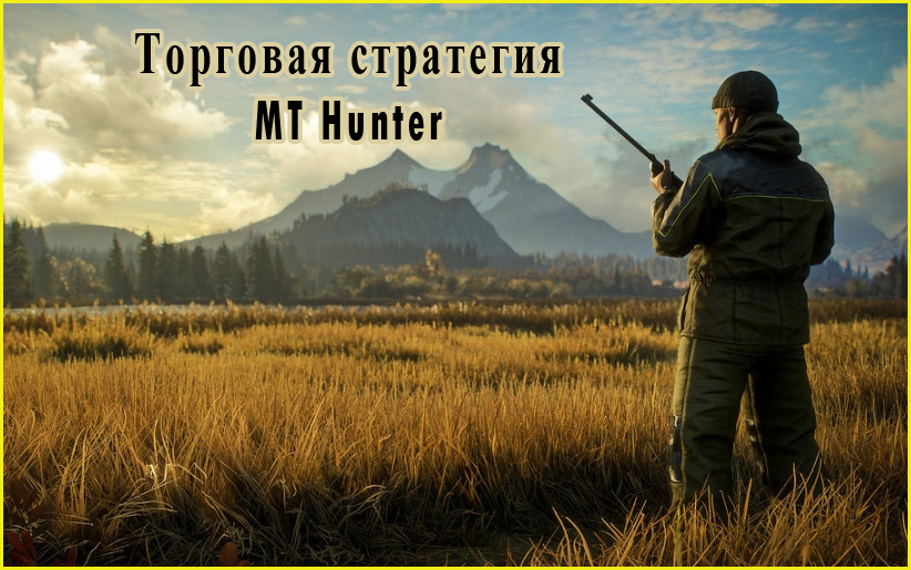 торговая стратегия MT Hunter