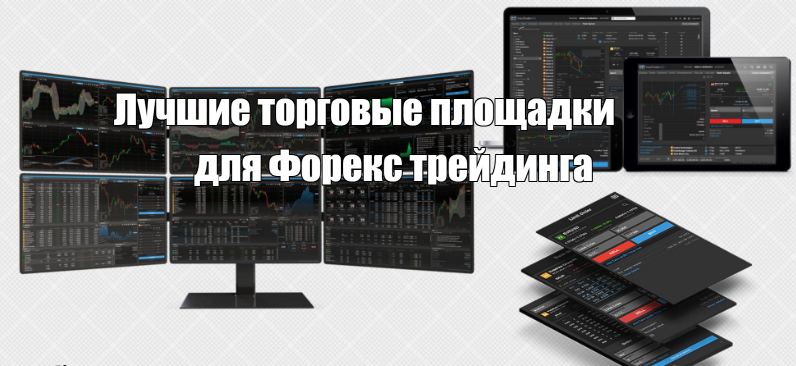 лучшие терминалы Площадки для Форекс трейдинга