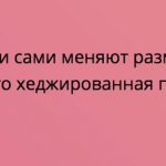 Негативный отзыв о работе JustForex