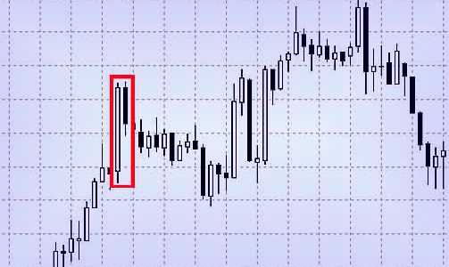 Медвежья Харами Харами вида медвежьего. Свечная модель с разворота