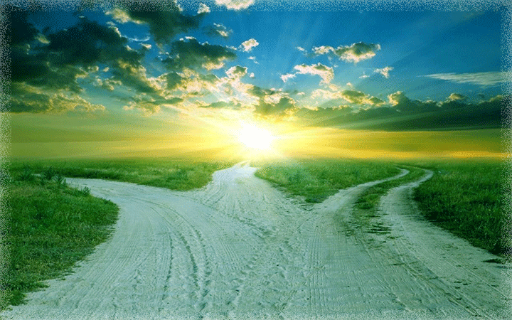 Дивергенция на Форекс стратегии дивергенции по стохастику