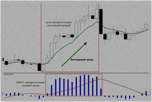 восходящий тренд, сравнение торговля на дневных графиках, в реальности