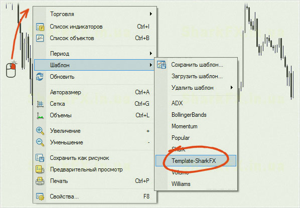 сохранение шаблона индикаторы шаблонные, терминал