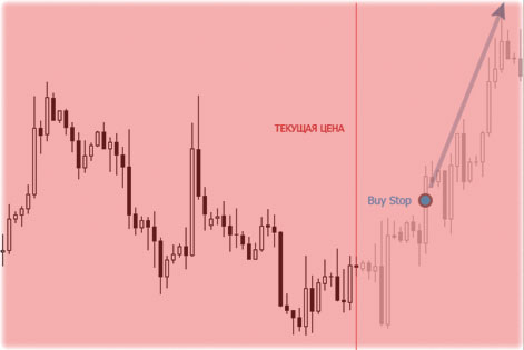 стоп ордер биржевые сессии и выставление ордеров