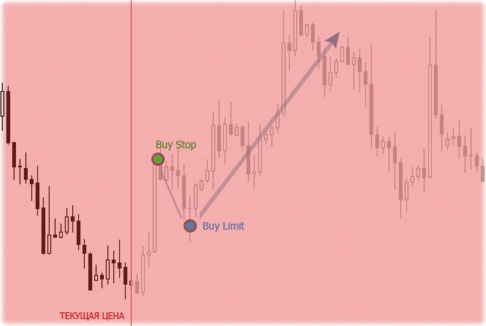 сочетание ордеров форекс приказ с анализом