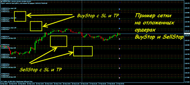 сетка отложенных ордеров форекс с разгоном в стратегии