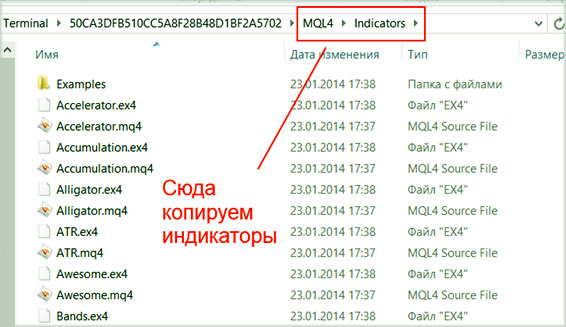 папка индикаторов установка в раздел