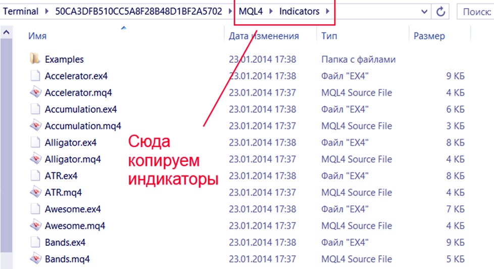 копируем наш Elliott Waves Pro файлы в папку МТ4