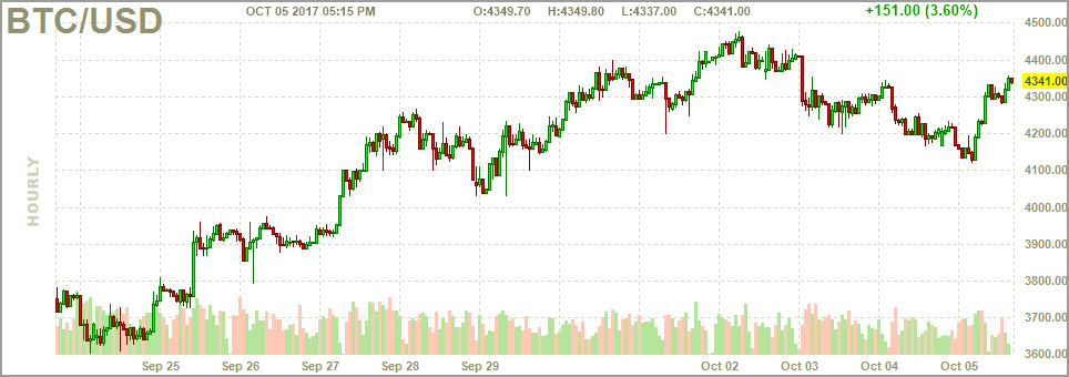 BTC USD советы начинающему по торгам
