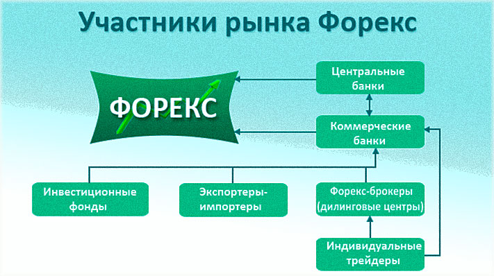 участники Форекс как устроено биржевое общество