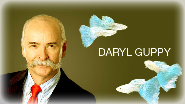 Daryl Guppi торговый метод от Daryl Guppi