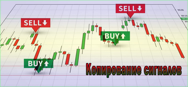 Binarium и Pocket Option копирование сделок трейдера